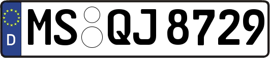 MS-QJ8729
