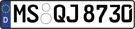 MS-QJ8730