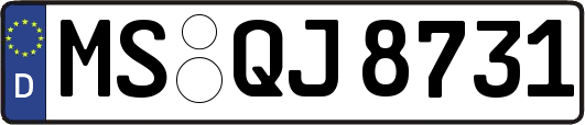 MS-QJ8731