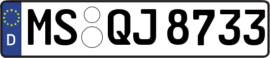 MS-QJ8733