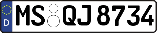 MS-QJ8734