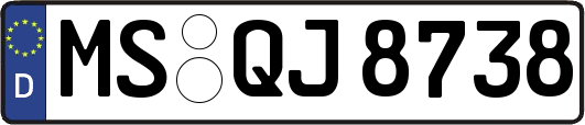MS-QJ8738