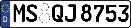 MS-QJ8753