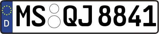 MS-QJ8841