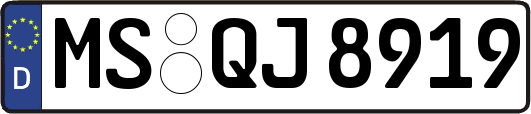 MS-QJ8919
