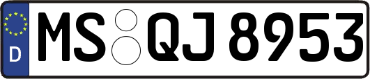 MS-QJ8953