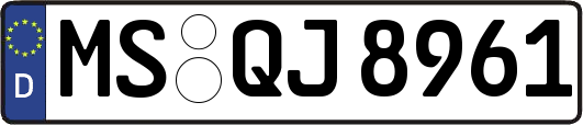 MS-QJ8961
