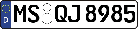 MS-QJ8985