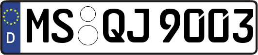MS-QJ9003