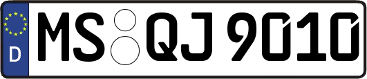 MS-QJ9010