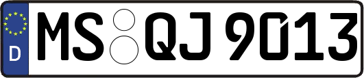MS-QJ9013