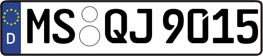 MS-QJ9015