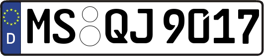 MS-QJ9017