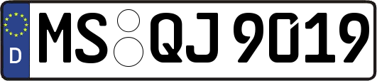 MS-QJ9019