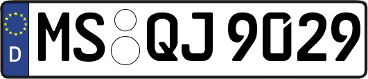 MS-QJ9029