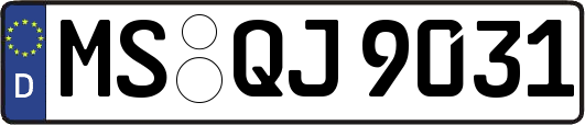 MS-QJ9031