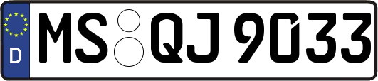 MS-QJ9033