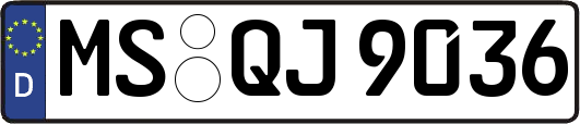 MS-QJ9036