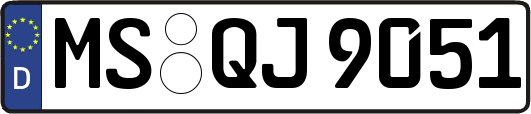 MS-QJ9051