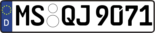 MS-QJ9071