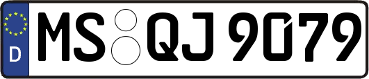 MS-QJ9079