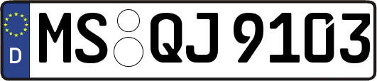 MS-QJ9103
