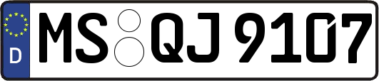 MS-QJ9107