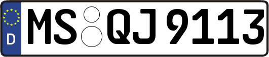 MS-QJ9113