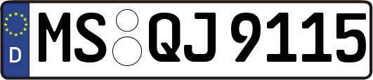 MS-QJ9115