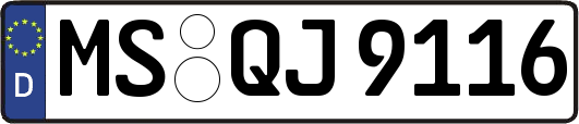MS-QJ9116