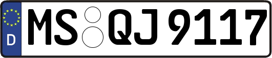 MS-QJ9117