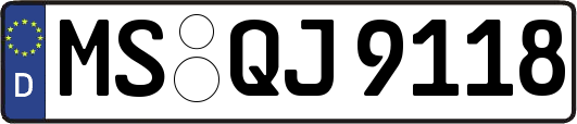 MS-QJ9118