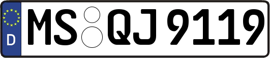 MS-QJ9119