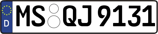 MS-QJ9131