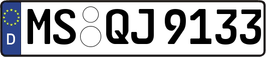 MS-QJ9133