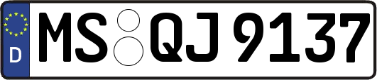 MS-QJ9137