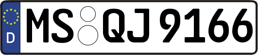 MS-QJ9166