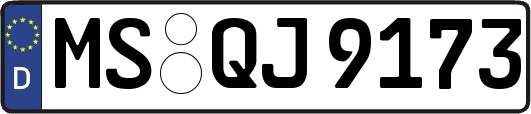 MS-QJ9173