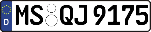 MS-QJ9175
