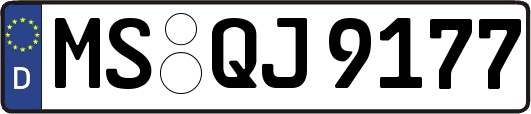 MS-QJ9177