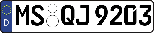 MS-QJ9203
