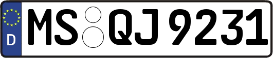 MS-QJ9231