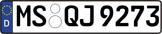 MS-QJ9273