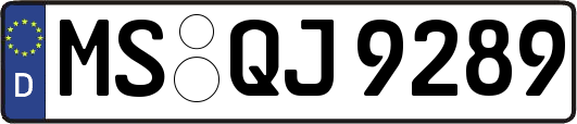 MS-QJ9289