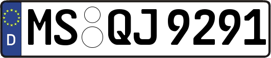 MS-QJ9291