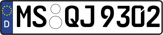 MS-QJ9302