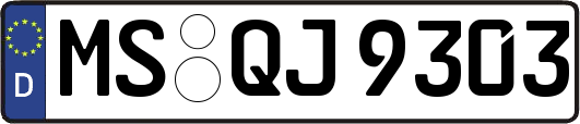 MS-QJ9303