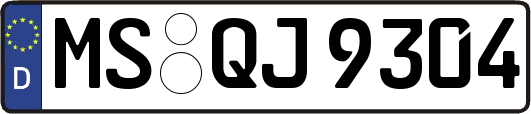 MS-QJ9304