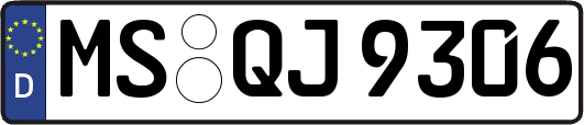 MS-QJ9306