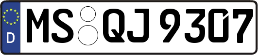 MS-QJ9307